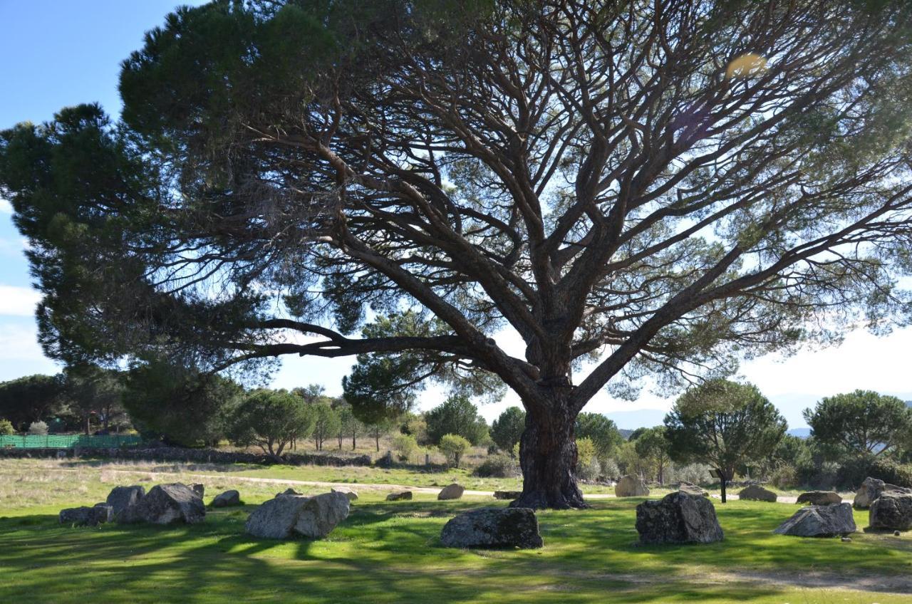 El Hoyo de Pinares Hotel El Estanco المظهر الخارجي الصورة